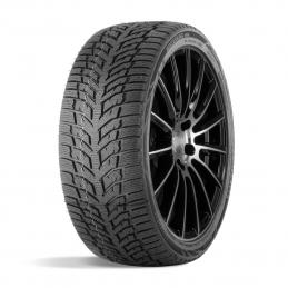 Doublestar Winterking DW08 195/55R15 85T